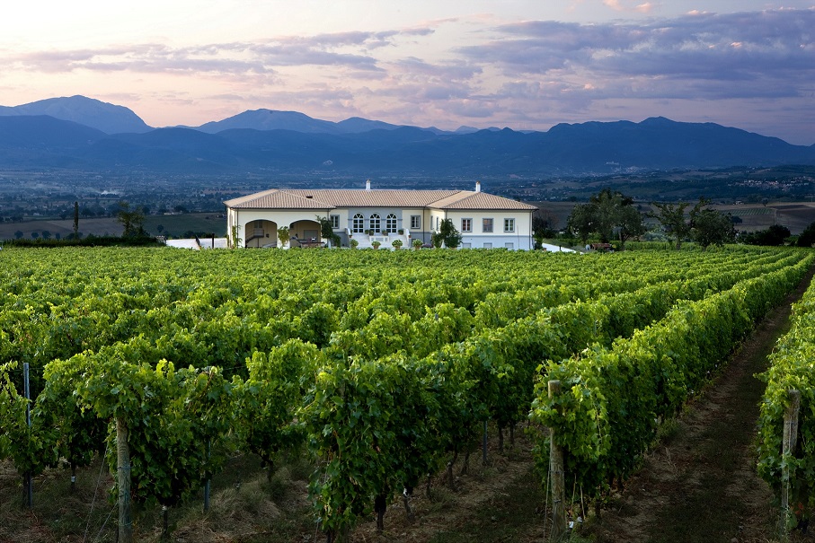 Cantina Lungarotti_Turrita di Montefalco.jpg